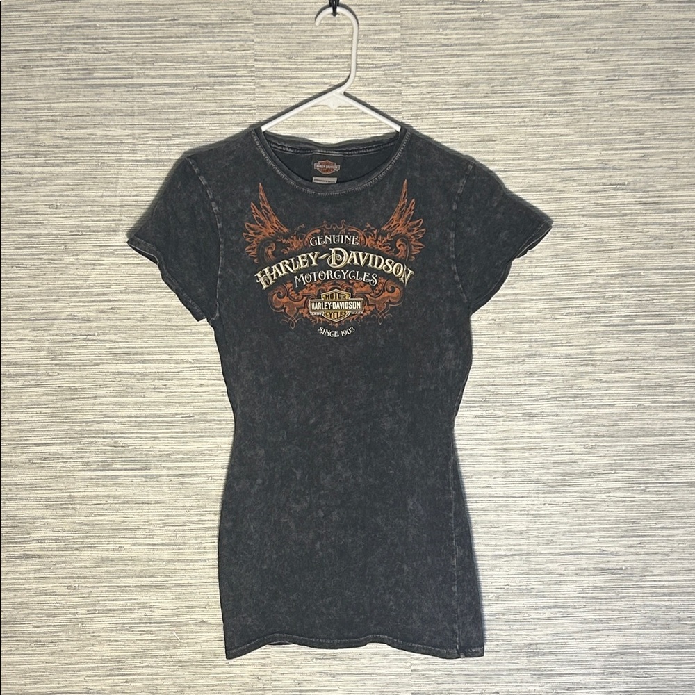 Y2K Harley-Davidson  Distressed Graphic Tee, Smoky Mountains, M (180)